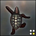 Xhamster profile picture for @turtle