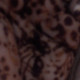 gulfarazkhan