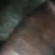 Wanblakcok