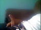 1jose