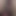 danbecky