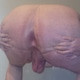 Bussytight