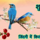 Desi_ajay99