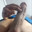 NYAK098