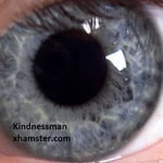 kindnessman