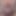BxPapi69