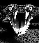 devanviper