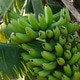 Ajaay7028