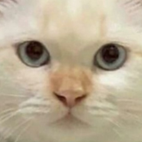 Dekaa19