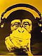 mrchimpz