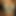 AshamedClick37