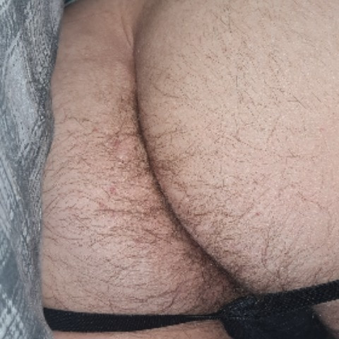tmbear