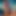 PopBud3