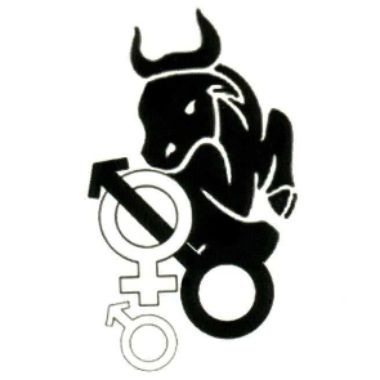 Bull_for_slutwife