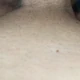 Manuelhot83