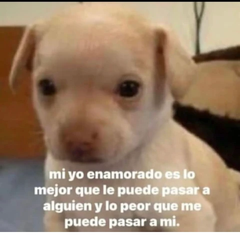 Jasonrico7u7