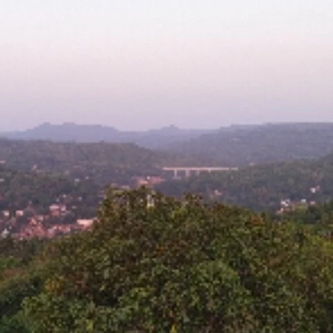Raju848