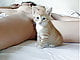 Coolcat67
