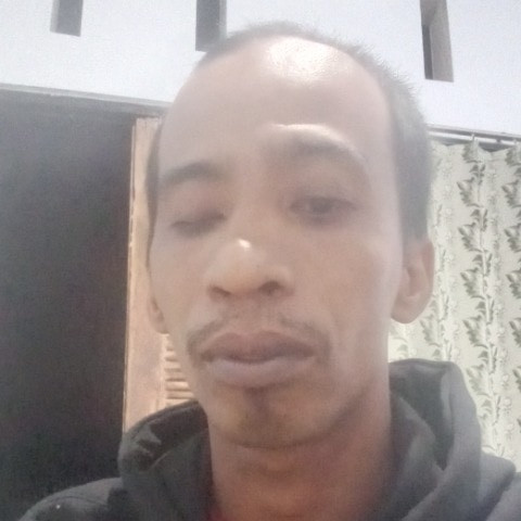 singkat01
