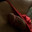 Dick81818181