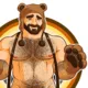 Gaybearpig