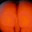 multisexo
