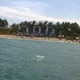 el_compi