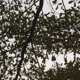 ATtata93
