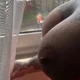 CurvyLady48