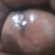 Forsexholic