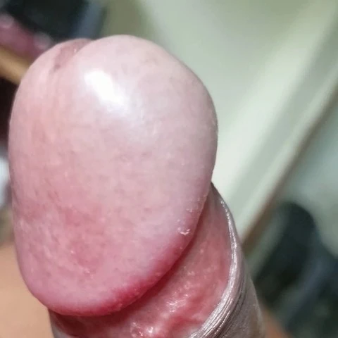 BMN98