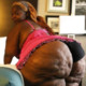 BBWasslover26