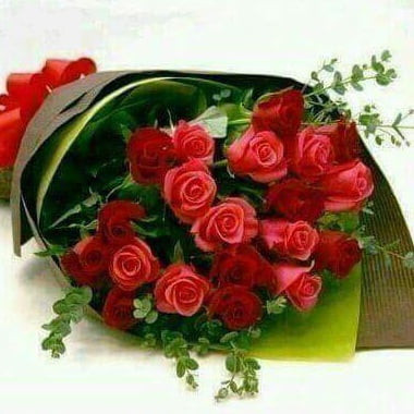 khaled6633