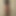 Queue_a_Chienne-44
