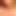 Lizcon69