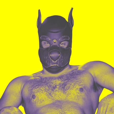 hologorilla