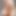 PornNetworkMedia