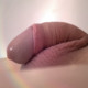jockers_cock