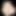 _Homo_Erectus_