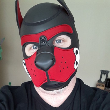 PupHero