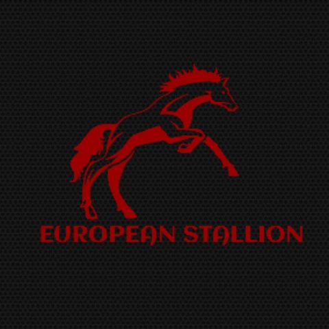 European-Stallion