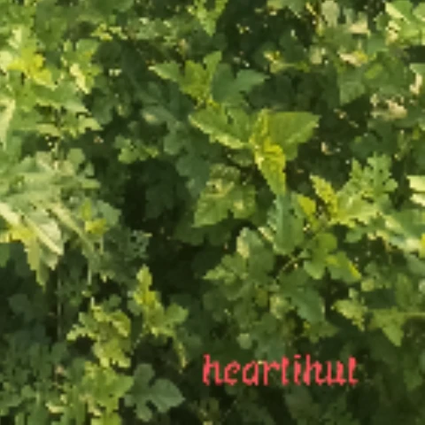 Heartohut