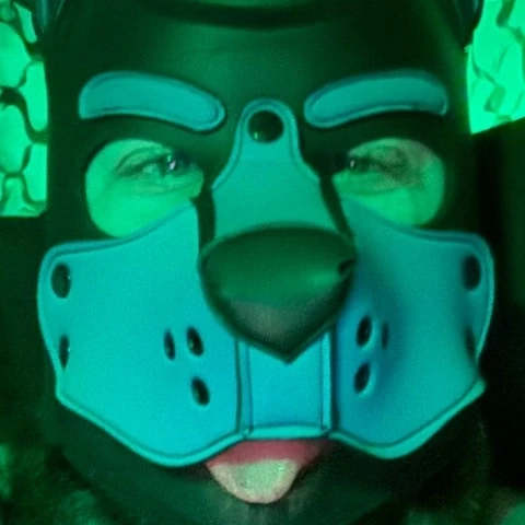 ATL Kinkster
