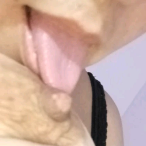 Ariharry2019