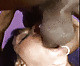 bigcock76