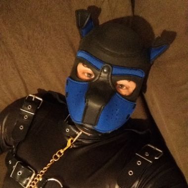 Pup4dom_BR