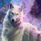 whitewolf77465