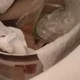 AveptasCock