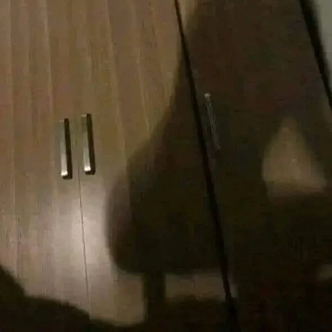 LongBuddy6