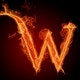WANG111222333